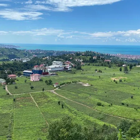 Bologina